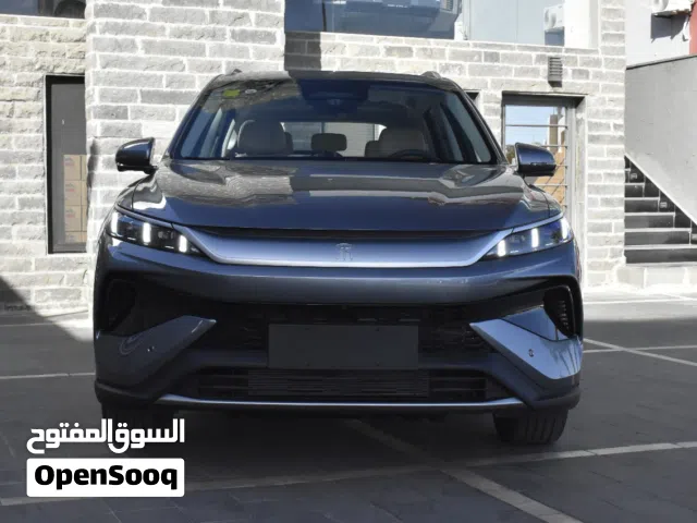 2025, بي واي دي, سونج برو