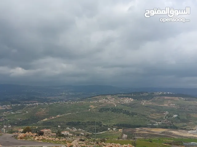 Farm Land for Sale in Jerash Unaybah