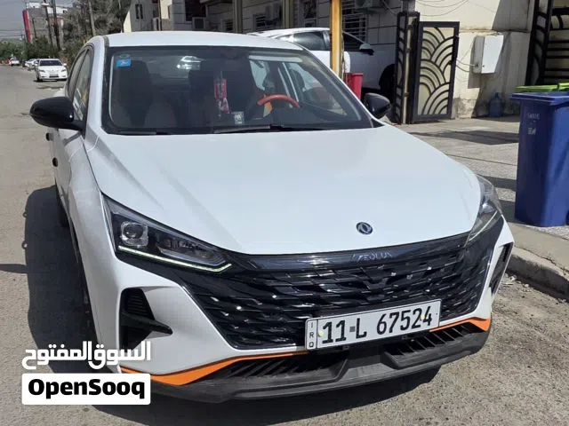 2024 دونج فينج A30 E1