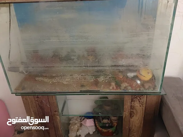 حوض سمك للبيع