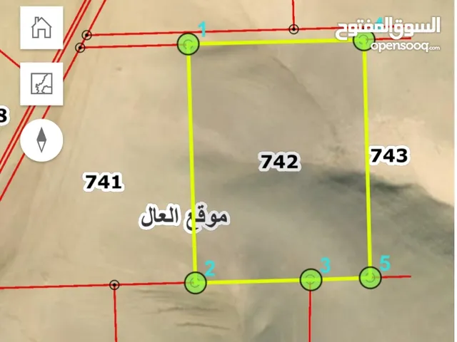 عرض رقم  ( 123) اراضي للبيع في الكرك  20 دنم الكرك مفروز كل عشرة بقوشان  الكرك / العال