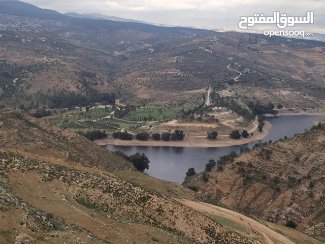 مطلة على سد الملك 10 دنمات كوشان مستقل مرتفعة وكاشفة