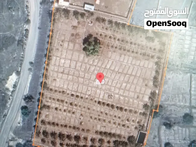 مزرعة للبيع في ولاية محضه المساحه 16153 بها عدد 2 ابار مرخصه ماء وغرفتين للعمال