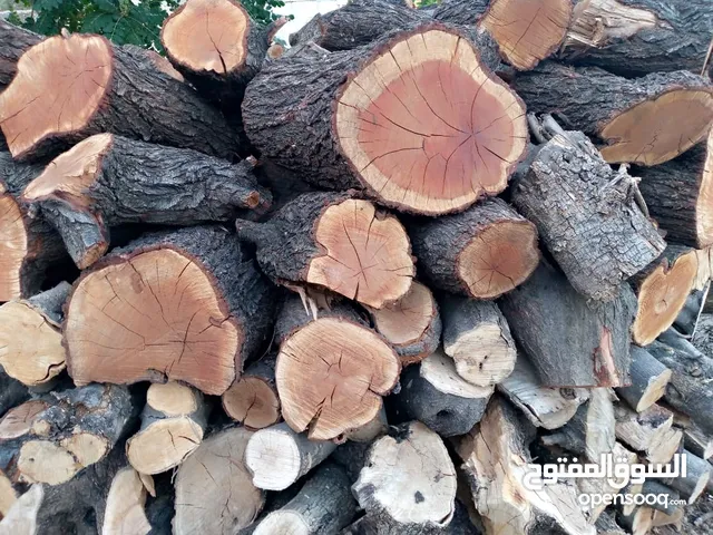 حطب زيتون ولوز وحمضيات ناشف مقطع حسب الطلب