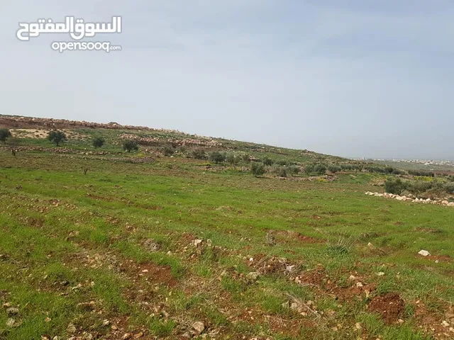 Farm Land for Sale in Jerash Soof