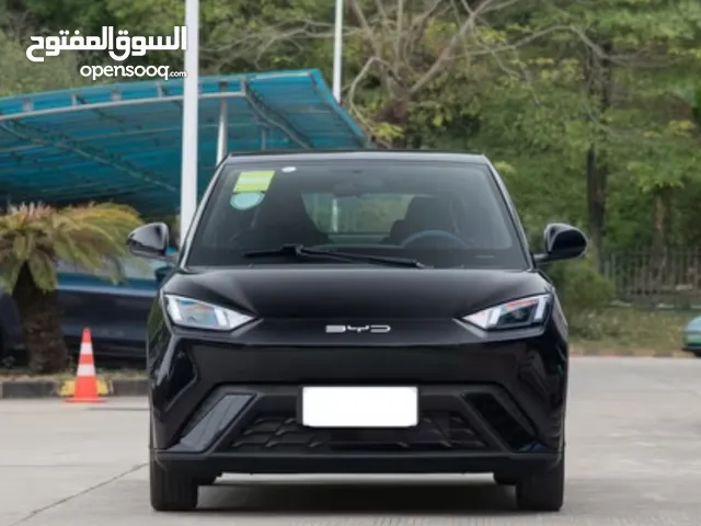 بي واي دي سيجول 2024 للبيع