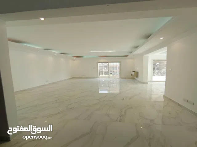 مقر إداري في مصر الجديدة 250م بجوار سنترال الماظـة