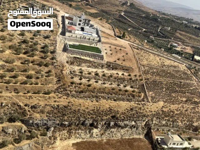 Farm Land for Sale in Mafraq Dahl