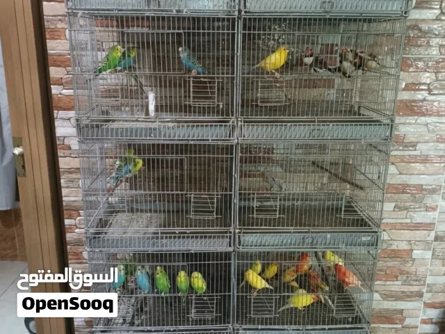 يونت حجم صغير