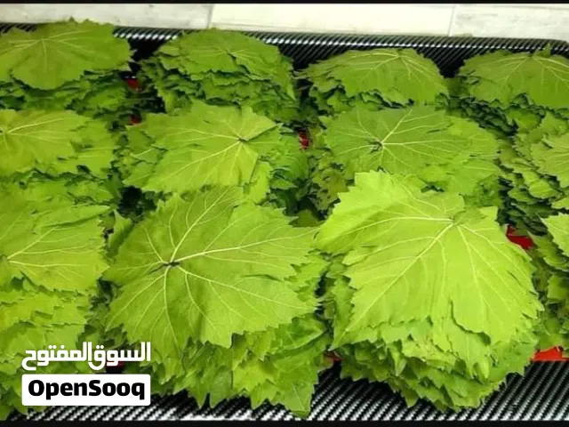 ورق دوالي امريكي مفرز