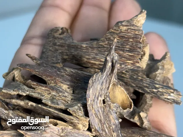 حطب عود هندي