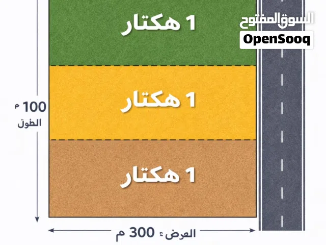 ارض للبيع في بئر التركي 3 هكتارات
