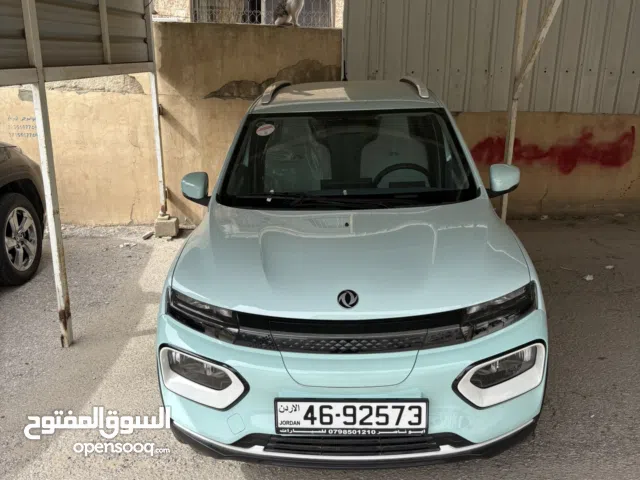 2022, Dongfeng, Nammi Box