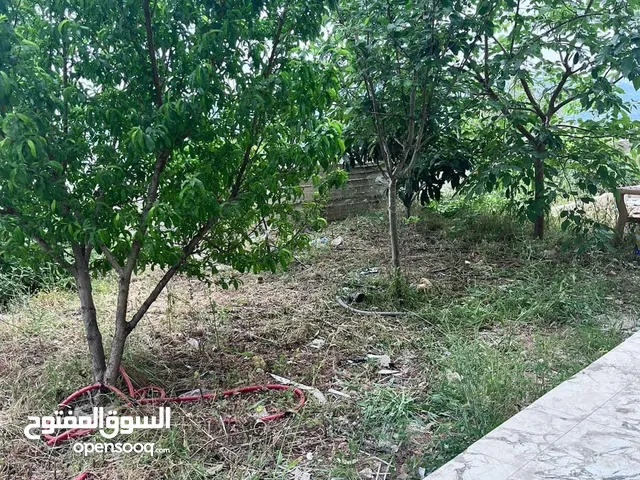 Commercial Land for Sale in Ramallah and Al-Bireh Other
