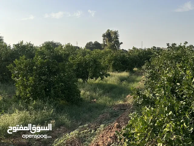 1 Bedroom Farms for Sale in Jordan Valley Other