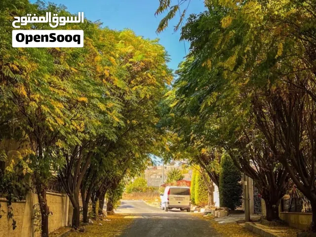 مطلوب شريك سكن