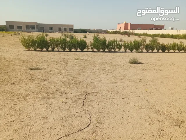 More than 6 bedrooms Farms for Sale in Al Ahmadi Wafra residential