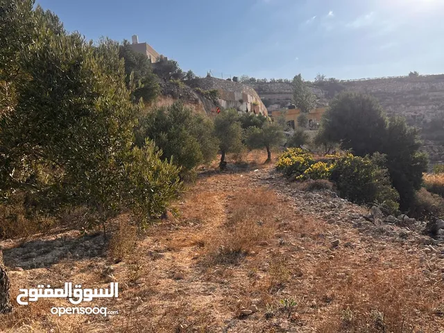 قطعة ارض مميزة في واد القف مرتفعة ومطلة