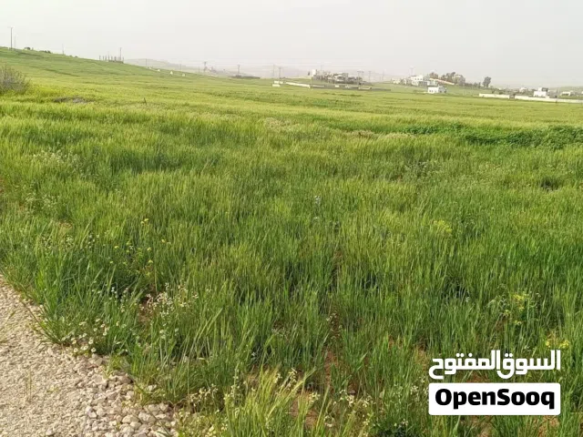 Farm Land for Sale in Mafraq Bala'ama