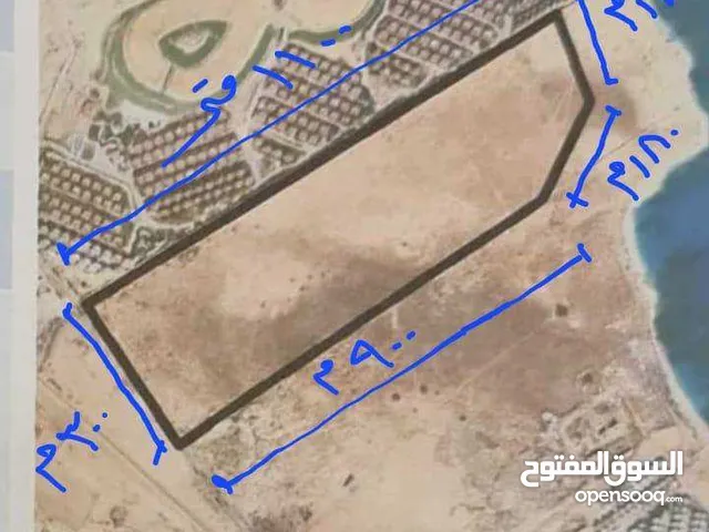 للبيع 84 فدان على الساحل بجوار مشروع رأس الحكمة