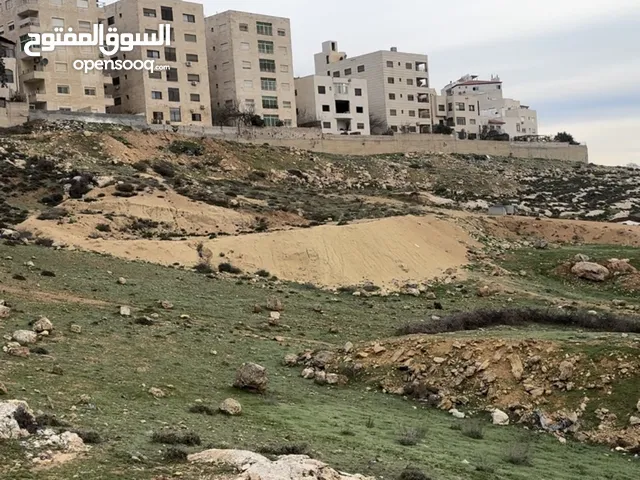 Residential Land for Sale in Amman Jubaiha