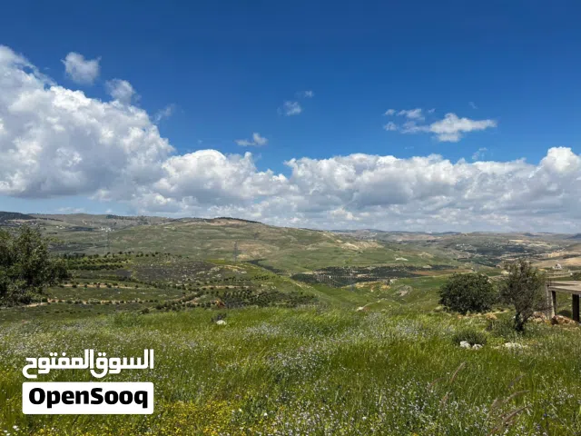 Farm Land for Sale in Zarqa Al-Alouk