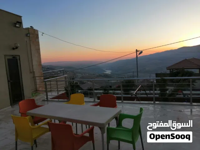 مزرعه للبيع في جرش -المصطبة .