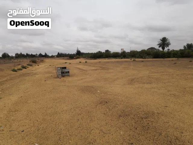 لا أتعامل مع المكاتب 4000متر سكنية في المرازيق قريبة من الرئيسي