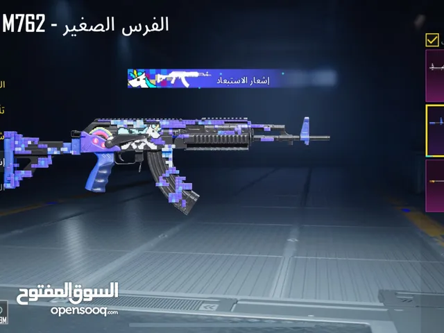 Pubg Accounts and Characters for Sale in Amman
