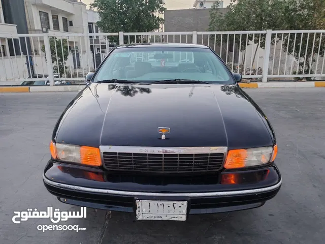 دولفين مديل 1992