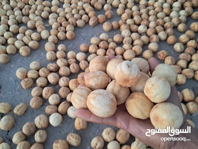 لیمون جاف ایراني ممتاز