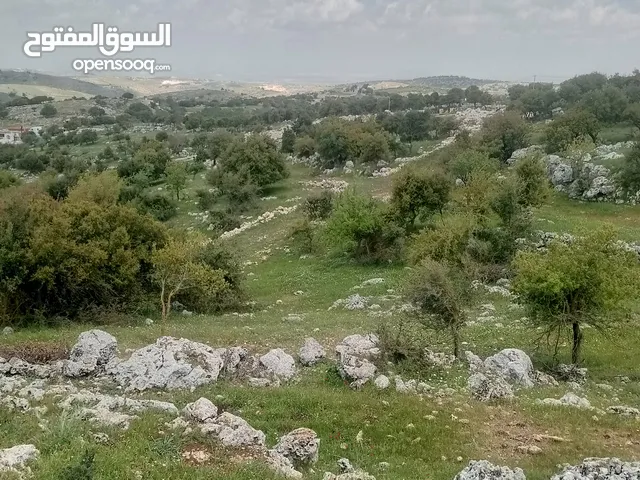 Mixed Use Land for Sale in Ajloun Other