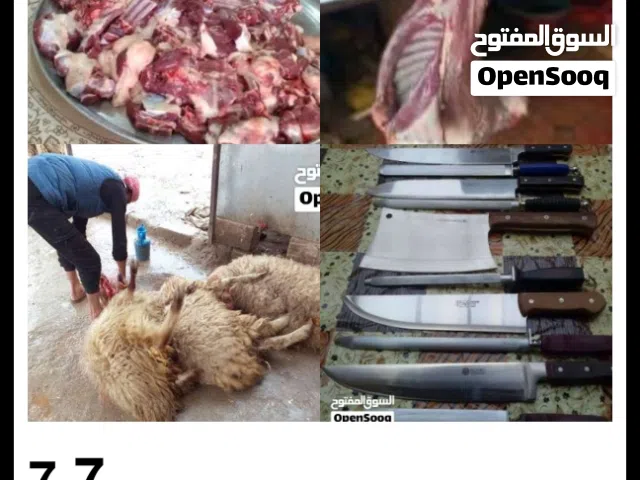 كل عام وانتم بالف خير ان شاء الله موجود لحام متنقل وداخل المنازل لذبح الاضاحي بشكل مرتب وممتاز