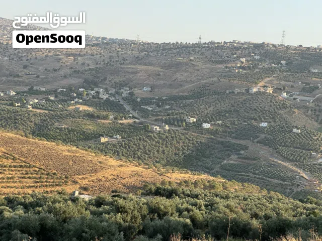 Farm Land for Sale in Jerash Kufair
