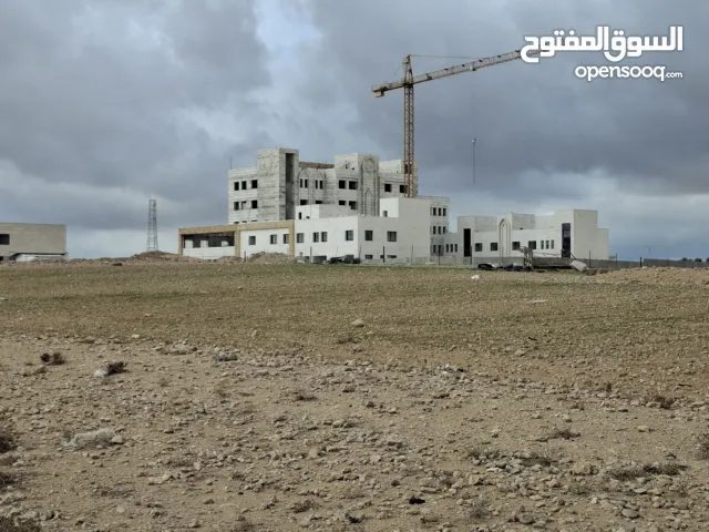 الجيزة – السكة الشمالي 503م داخل التنظيم واصل ماء وكهرباء وشوارع معبدة..من المالك مباشره.