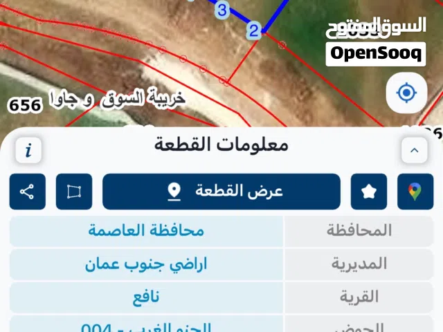 Residential Land for Sale in Amman Al-Husnyeh
