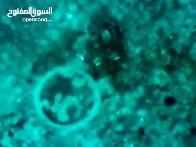 تصوير مباشر لفحص الأعطال