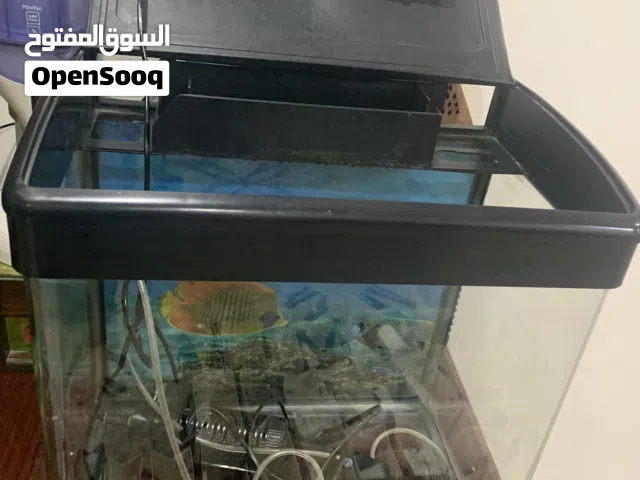 حوض سمك اسود