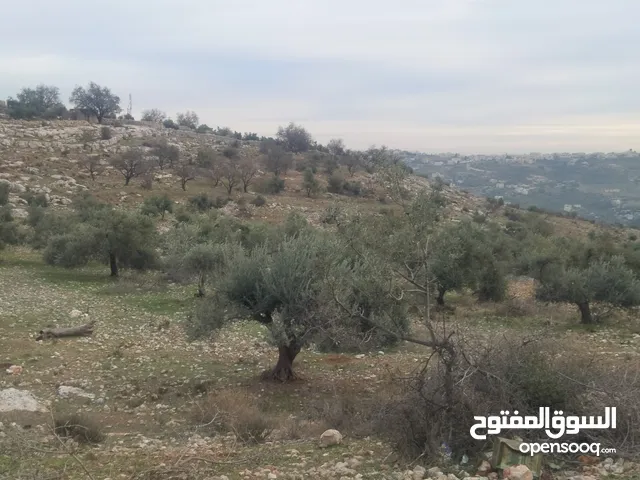 Residential Land for Sale in Amman Abu Al-Sous
