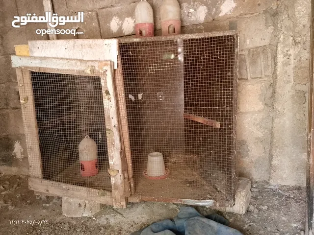 خم خم للبيع