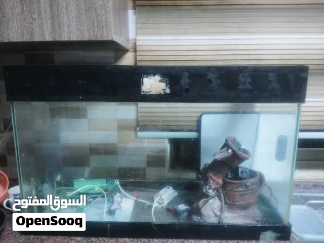 حوض سمك كبير مع كيس احجار ملونه  واحجار بحرية