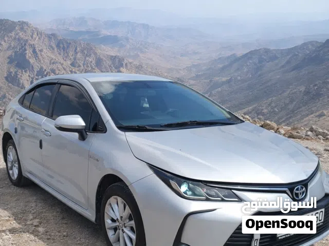 2020, Toyota, Corolla, GLI