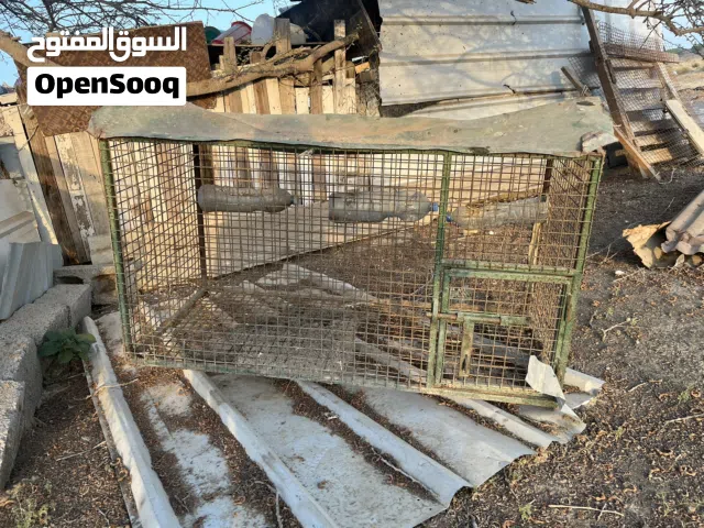 قفص لبيع 3 ريال