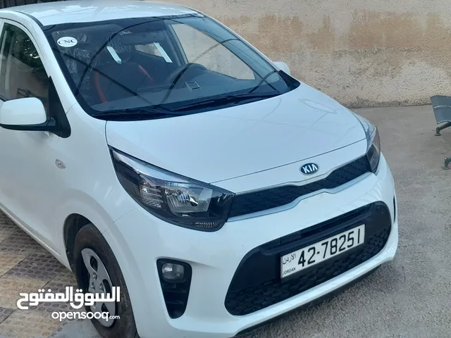 Used Kia Picanto in Irbid