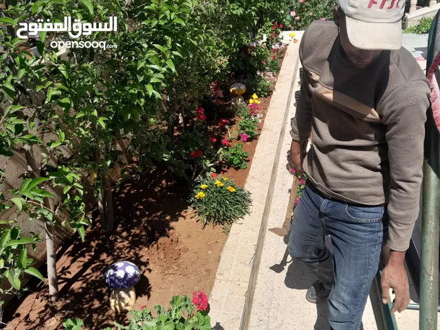 Other in Amman