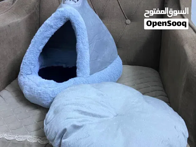 منام قطط مريح