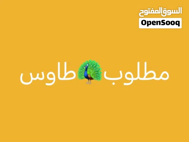 مطلوب طاوس