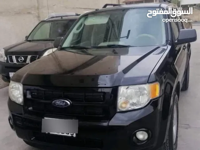 Used Ford Escape in Amman
