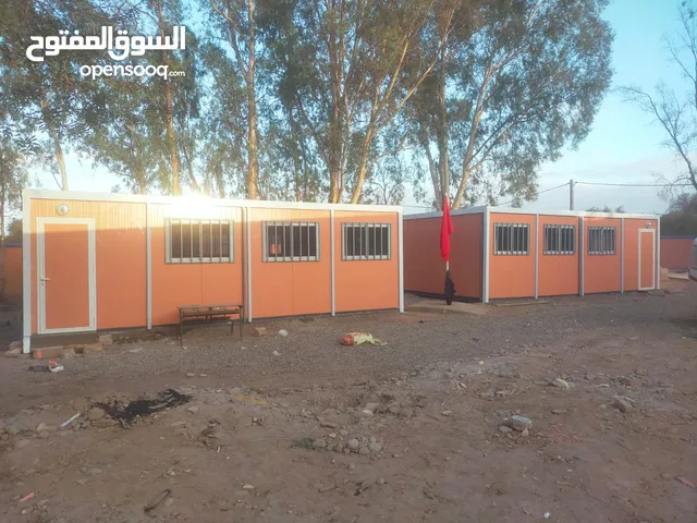 بيرو شونطي