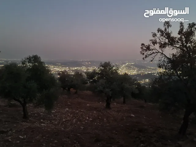 Farm Land for Sale in Jerash Other